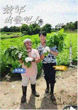 骚狐视频极限挑战荒野篇